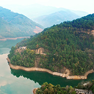  精于茶，良心茶遵循傳統(tǒng)制茶工藝