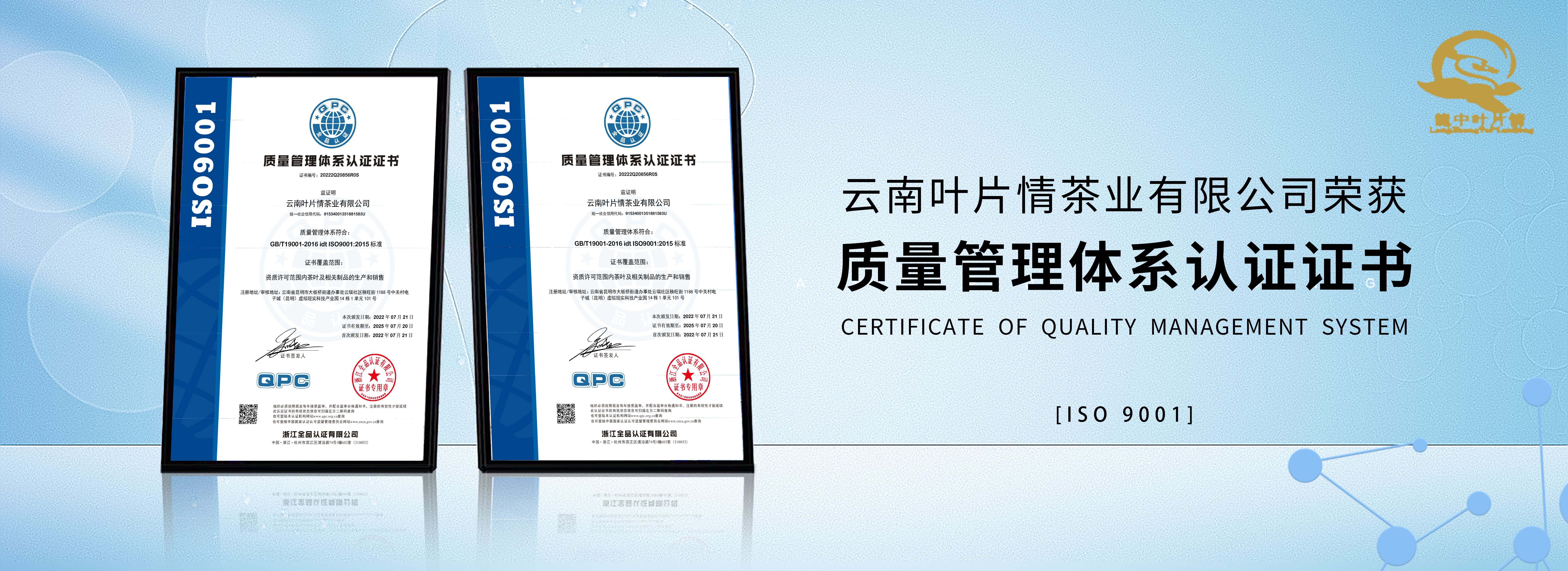 云南普洱茶廠家,專注普洱茶批發定制