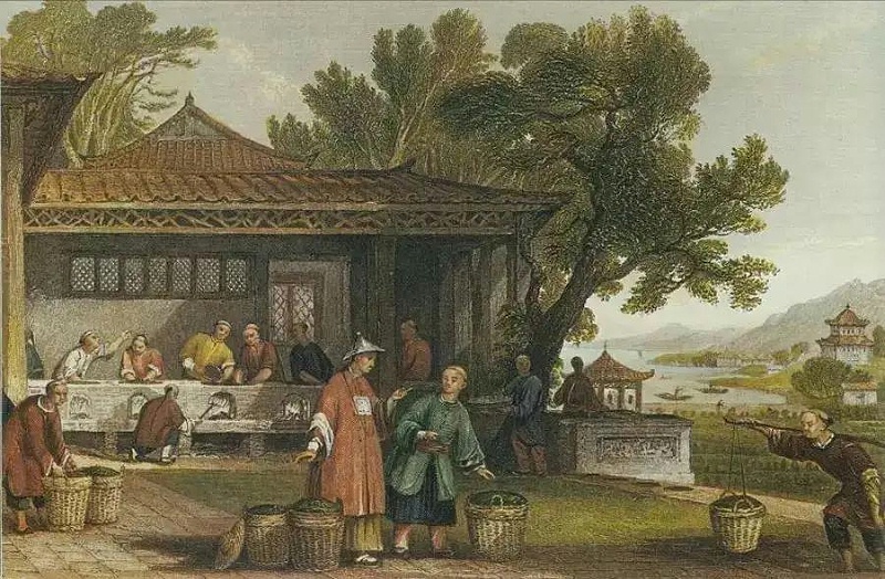 鴉片戰(zhàn)爭(zhēng)與茶葉的關(guān)系