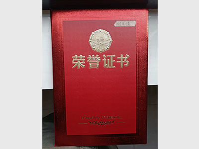 葉片情-榮譽證書